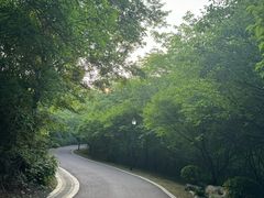 -南山风景名胜区