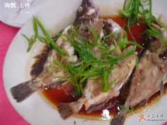 九公鱼-湛江渔港·大排档(乐园路总店)