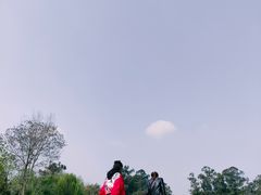 -两河城市森林公园