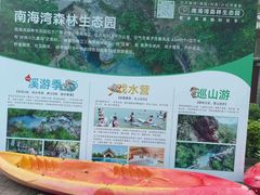 -南海湾森林生态园