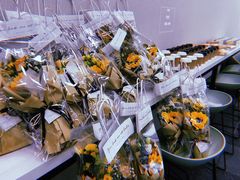-卡吉诺动物奶油生日蛋糕(蓝堡湾店)
