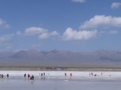 -青海茶卡盐湖文化旅游发展股份有限公司
