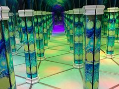 -天津梵高星空艺术馆(天河城旗舰店)