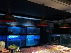 -新荣记(南京西路店)