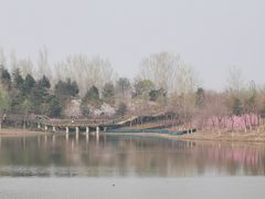 -东郊湿地公园