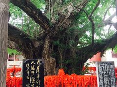 景点-浮来山风景区