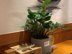 -丹江渔村(望京店)