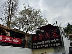 -桃源山庄·水蜜桃采摘·柴火鸡·烧烤团建(龙泉山店)