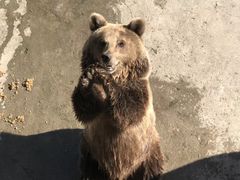 -哈尔滨北方森林动物园