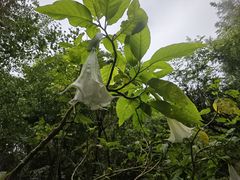 -昆明植物园