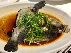-强记海鲜·大排档(蛇口新街店)