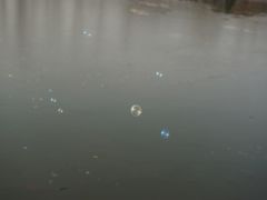 -美国悦宝园早教托育中心(东坝店)