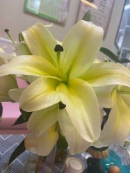 -摩瘦纤体订制减肥