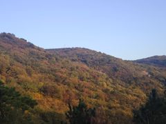 -浮槎山