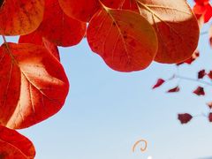 -周口店坡峰岭风景区