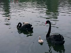 -西安秦岭野生动物园