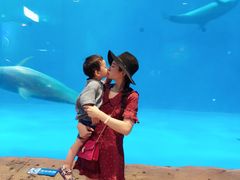 -华夏文旅海洋公园