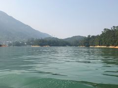 -广州市流溪河国家森林公园