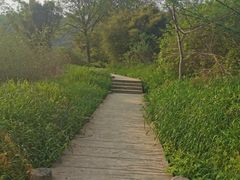 -九曲溪竹筏码头