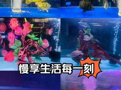-中环花鸟鱼虫市场