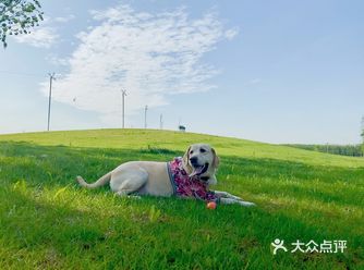 位置 导航格拉斯路，过了松美术馆，小路口左转