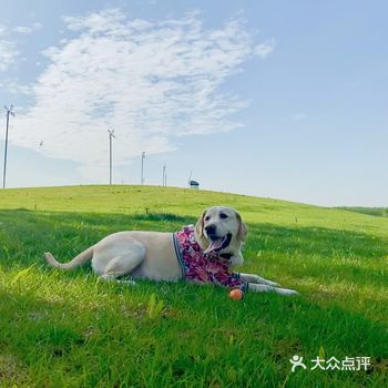 位置 导航格拉斯路，过了松美术馆，小路口左转