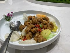 -丁老爷子苏香圆