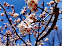 -鹫峰国家森林公园