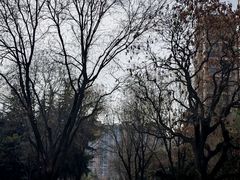 -木塔寺遗址生态公园