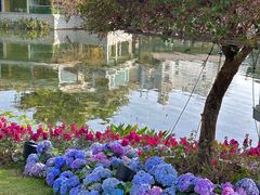 -荔湾湖公园