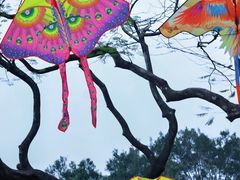 -人民公园(罗湖区)