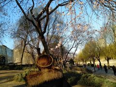 -元大都城垣遗址公园