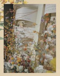 -Sugar苏格婚礼策划工作室