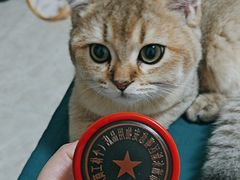 -天爱图文刻章备案刻公章备案·登报