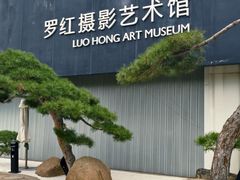 -罗红摄影艺术馆