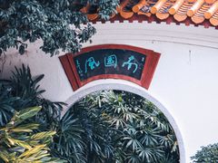 -深圳市中科院仙湖植物园