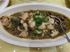 麻香大黄鱼-民族饭店-四季餐厅