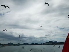 -海驴岛(荣成市)