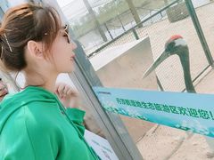 -盐城丹顶鹤湿地生态旅游区