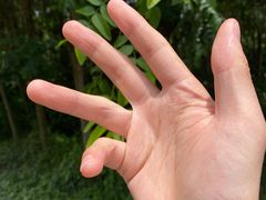 -都江堰玫瑰花溪谷