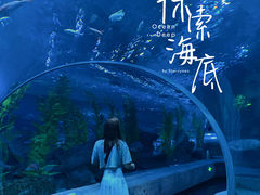 -芜湖新华联大白鲸海洋公园