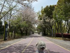 -尚贤河湿地
