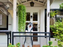 -TrueLove @ Neverland (Husky Cafe)