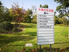 -大黄村自建房
