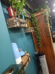 点击看大图 -卡木里发型工作室