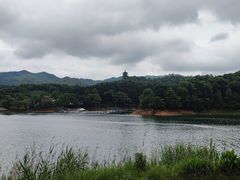 -酒仙湖景区