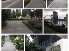 iphone_upload_pic-陈家山荷花公园