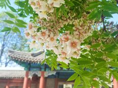 -北京石刻艺术博物馆(五塔寺)