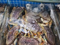 -望海潮海鲜店 特色家常菜(在海一方店)