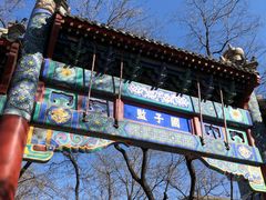 -北京国子监胡同